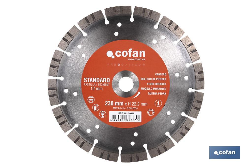 DISCO DIAMANTE CANTERO STANDARD H-12mm, 230mm (PACK: 1 UDS) DISCO DIAMANTE CANTERO STANDARD H-12mm, 230mm (PACK: 1 UDS)