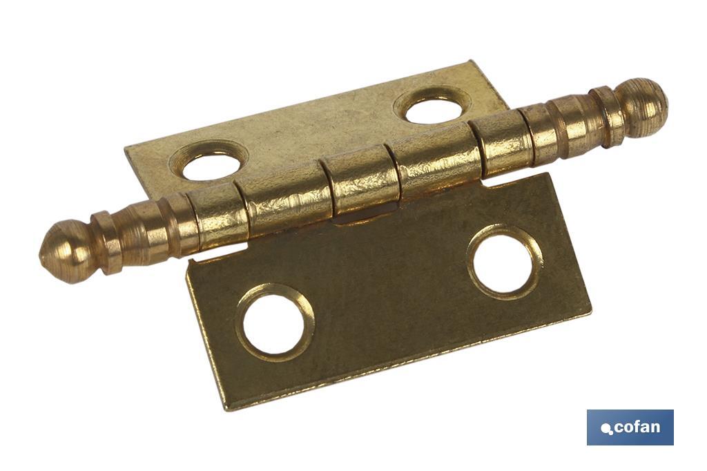 2 UDS BISAGRA HIERRO LATON FIN ALTO 60 X 40 (PACK: 12 UDS) 2 UDS BISAGRA HIERRO LATON FIN ALTO 60 X 40 (PACK: 12 UDS)